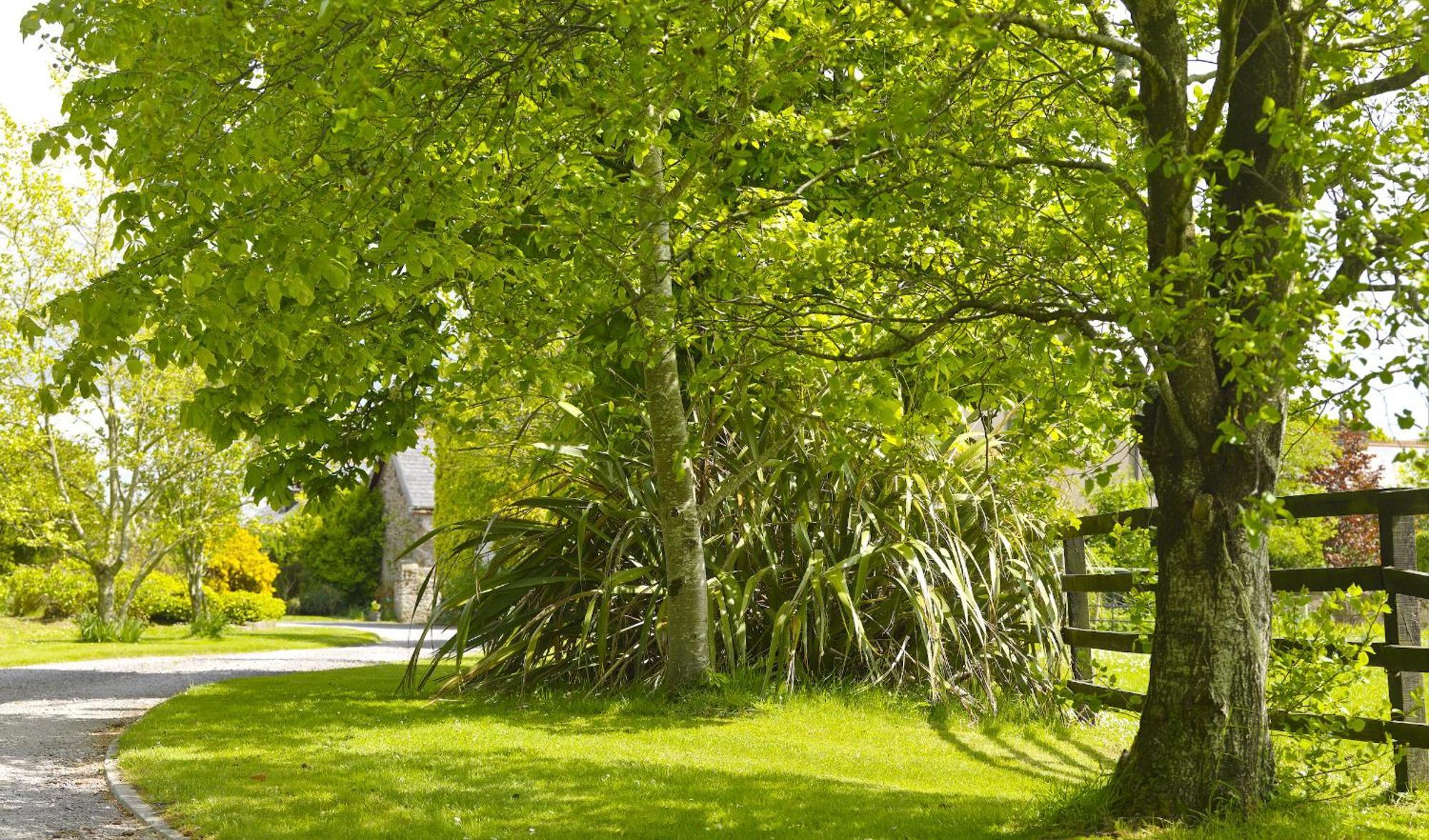 Courtyard Cottages Tralee Szoba fotó